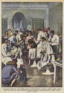 Der er åbnet et hundefrisørum i det centrale London